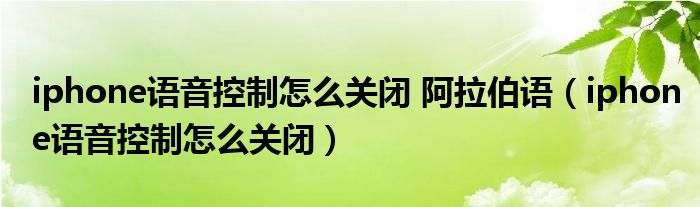 iphone语音控制怎么关闭 阿拉伯语（iphone语音控制怎么关闭）