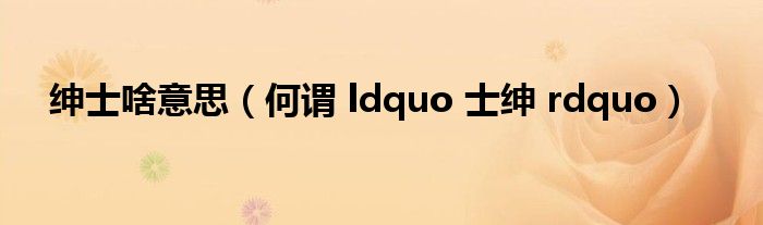 绅士啥意思（何谓 ldquo 士绅 rdquo）