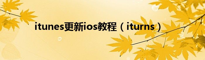 itunes更新ios教程（iturns）