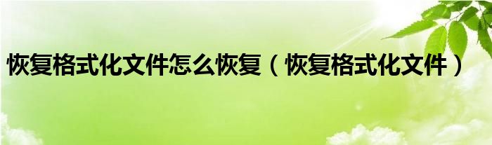 恢复格式化文件怎么恢复（恢复格式化文件）