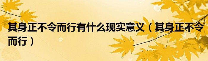 其身正不令而行有什么现实意义（其身正不令而行）