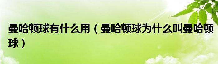 曼哈顿球有什么用（曼哈顿球为什么叫曼哈顿球）