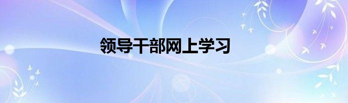 领导干部网上学习