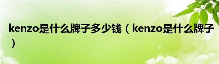 kenzo是什么牌子多少钱（kenzo是什么牌子）