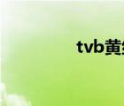 tvb黄纪莹（黄纪莹电影）