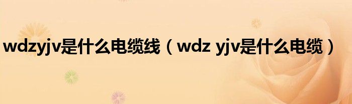 wdzyjv是什么电缆线（wdz yjv是什么电缆）