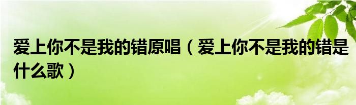 爱上你不是我的错原唱（爱上你不是我的错是什么歌）