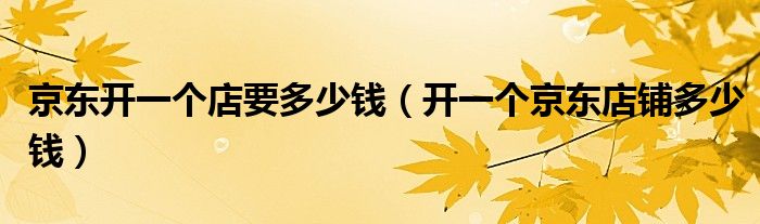 京东开一个店要多少钱（开一个京东店铺多少钱）