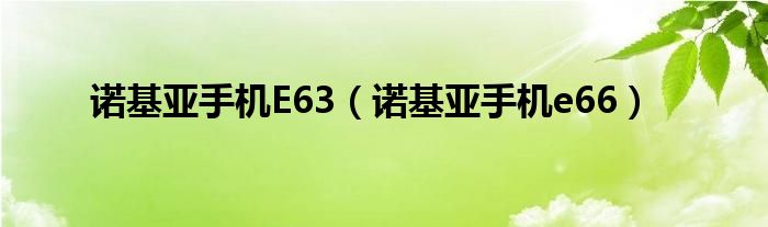 诺基亚手机E63（诺基亚手机e66）