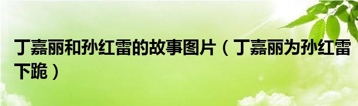 丁嘉丽和孙红雷的故事图片（丁嘉丽为孙红雷下跪）