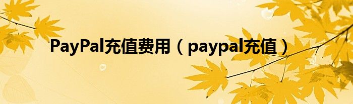 PayPal充值费用（paypal充值）