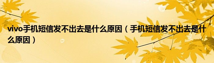 vivo手机短信发不出去是什么原因（手机短信发不出去是什么原因）