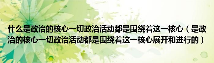 什么是政治的核心一切政治活动都是围绕着这一核心（是政治的核心一切政治活动都是围绕着这一核心展开和进行的）