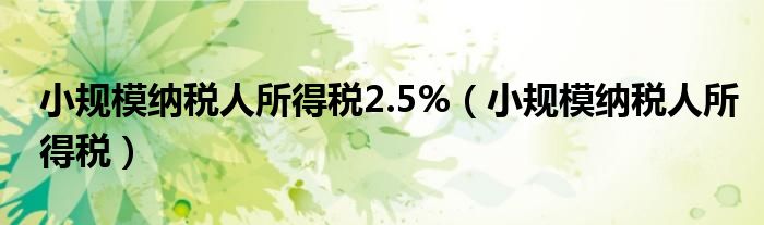 小规模纳税人所得税2.5%（小规模纳税人所得税）