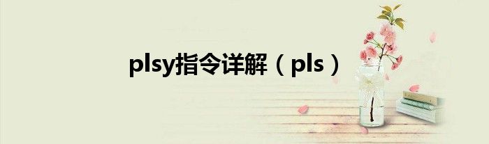 plsy指令详解（pls）