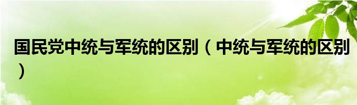 国民党中统与军统的区别（中统与军统的区别）