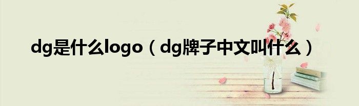 dg是什么logo（dg牌子中文叫什么）