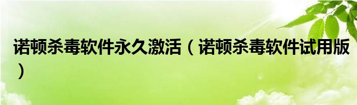 诺顿杀毒软件永久激活（诺顿杀毒软件试用版）