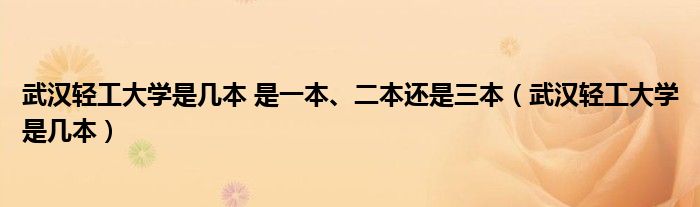 武汉轻工大学是几本 是一本、二本还是三本（武汉轻工大学是几本）