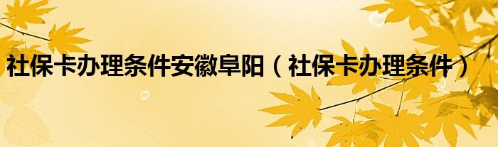 社保卡办理条件安徽阜阳（社保卡办理条件）