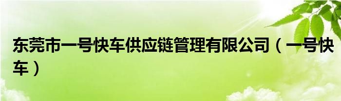 东莞市一号快车供应链管理有限公司（一号快车）