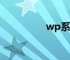 wp系统软件（wp系统）