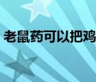 老鼠药可以把鸡毒死吗（鸡蛋滴鼠药被买走）