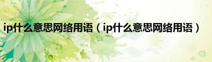 ip什么意思网络用语（ip什么意思网络用语）