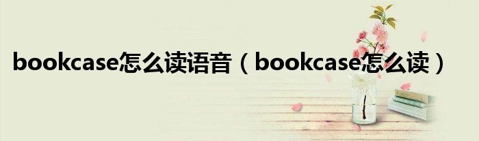 bookcase怎么读语音（bookcase怎么读）