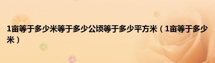 1亩等于多少米等于多少公顷等于多少平方米（1亩等于多少米）