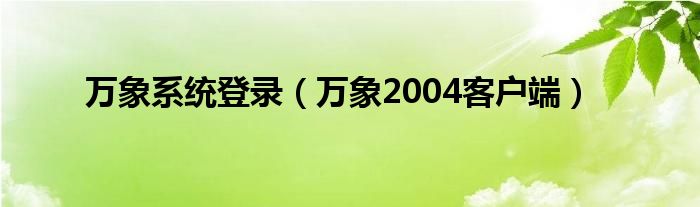 万象系统登录（万象2004客户端）