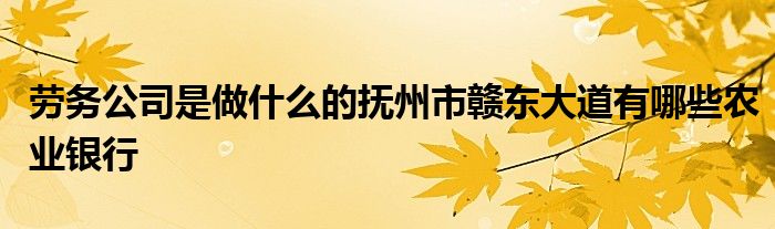 劳务公司是做什么的抚州市赣东大道有哪些农业银行