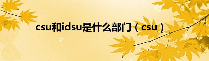 csu和idsu是什么部门（csu）