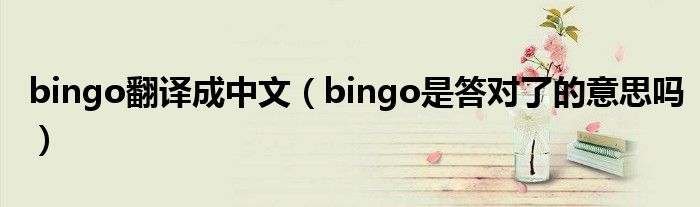 bingo翻译成中文（bingo是答对了的意思吗）