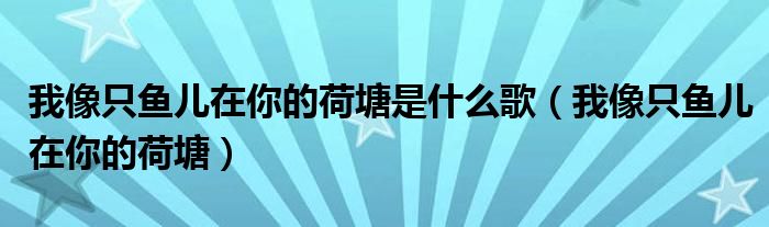 我像只鱼儿在你的荷塘是什么歌（我像只鱼儿在你的荷塘）