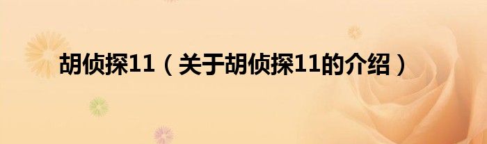 胡侦探11（关于胡侦探11的介绍）