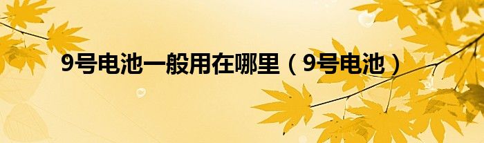 9号电池一般用在哪里（9号电池）