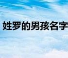 姓罗的男孩名字10000个（姓罗的男孩名字）