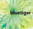 bluetiger（关于bluetiger的介绍）