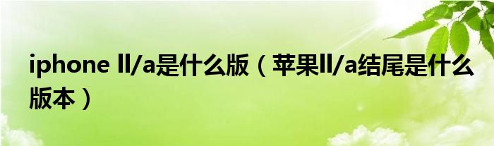 iphone ll/a是什么版（苹果ll/a结尾是什么版本）