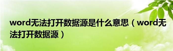 word无法打开数据源是什么意思（word无法打开数据源）