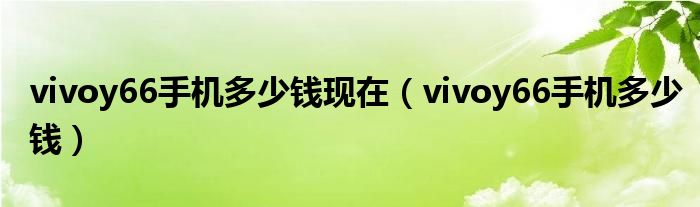 vivoy66手机多少钱现在（vivoy66手机多少钱）