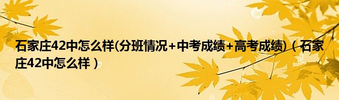 石家庄42中怎么样(分班情况+中考成绩+高考成绩)（石家庄42中怎么样）