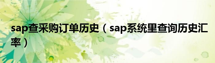 sap查采购订单历史（sap系统里查询历史汇率）