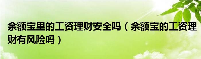 余额宝里的工资理财安全吗（余额宝的工资理财有风险吗）