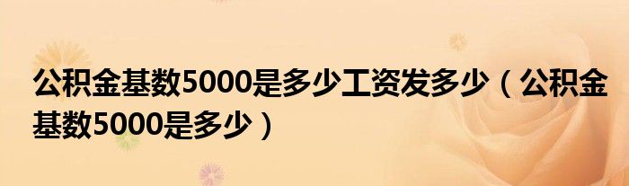 公积金基数5000是多少工资发多少（公积金基数5000是多少）