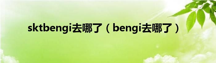 sktbengi去哪了（bengi去哪了）