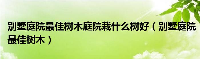 别墅庭院最佳树木庭院栽什么树好（别墅庭院最佳树木）