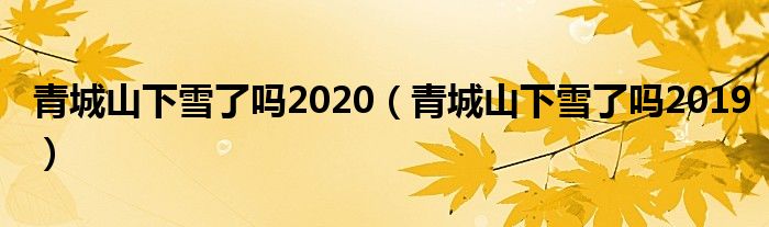 青城山下雪了吗2020（青城山下雪了吗2019）