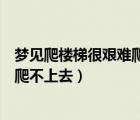 梦见爬楼梯很艰难爬不上去放弃下来了（梦见爬楼梯很艰难爬不上去）